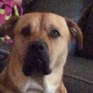 Meet your Posher, Mikayla